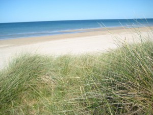 utah-beach-dunes