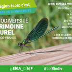 Biodiversite-patrimoine-IDF-EELV