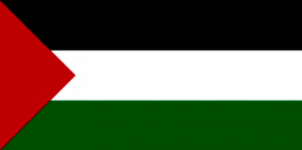 Flag_of_Palestine_-_short_triangle