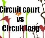 courts circuits