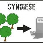 logo SYNDIESE_petit