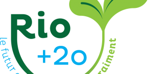 Logo Rio+20_FR