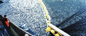 Un tournant dans la réforme de la Politique commune de la pêche