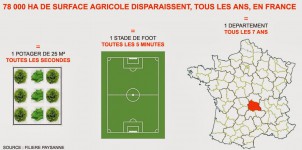 surface agricole2