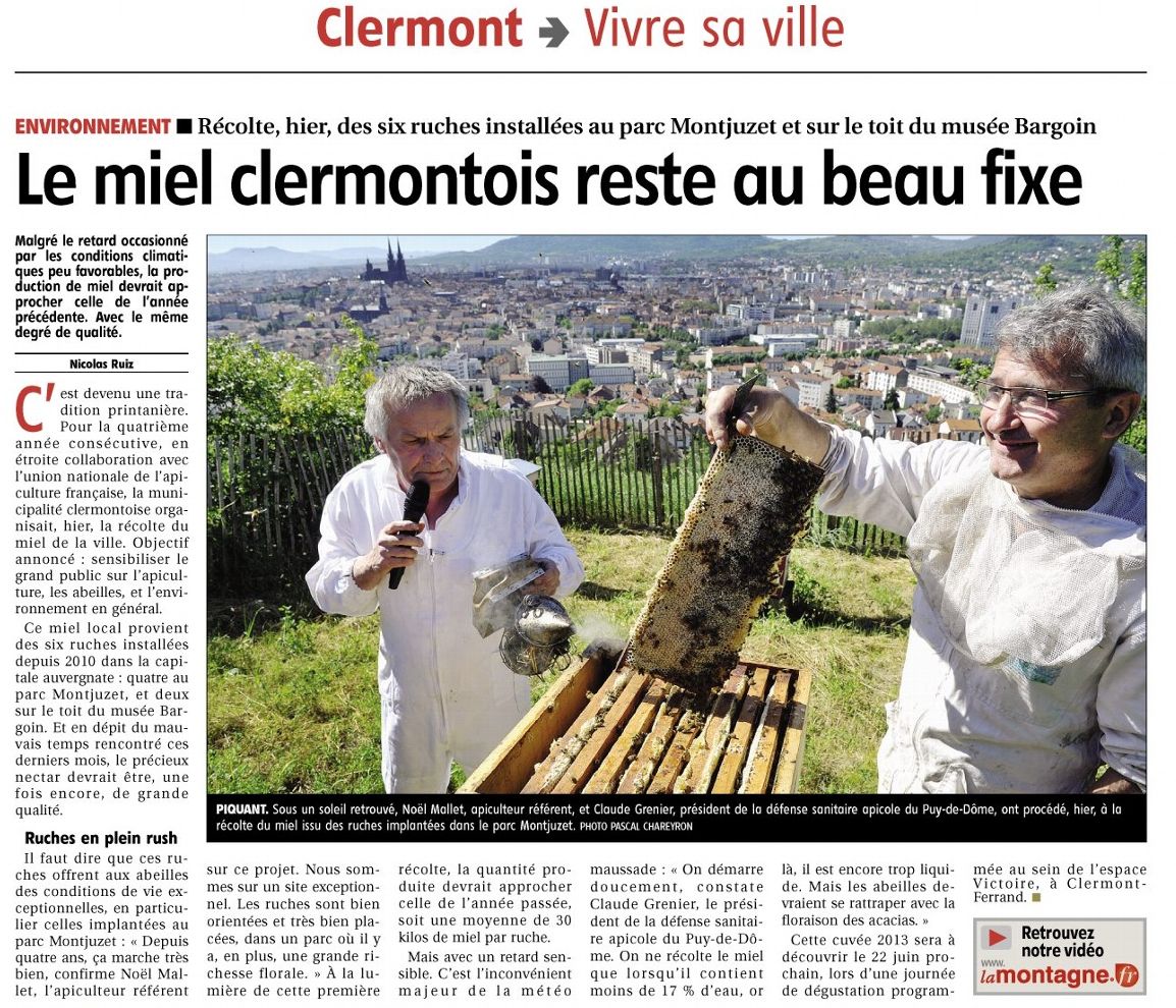 Abeilles Montjuzet