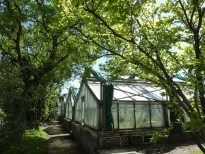 Serres Auteuil par Salix