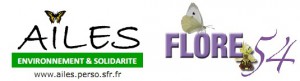 ailes_flore