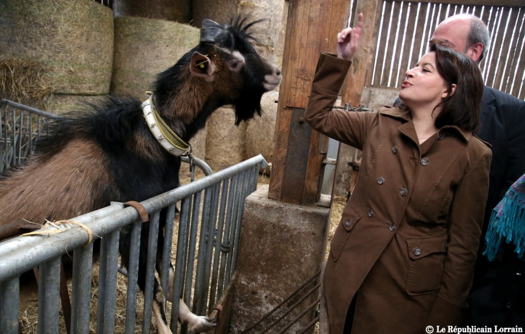 cecile-duflot-a-visite-la-ferme-fol-epi-de-zoufftgen-hier-matin-photo-pierre-heckler