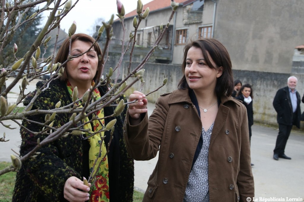 cecile-duflot-espere-voir-entrer-de-nombreux-ecologistes-dans-les-assemblees-departementales-photo-pierre-heckler