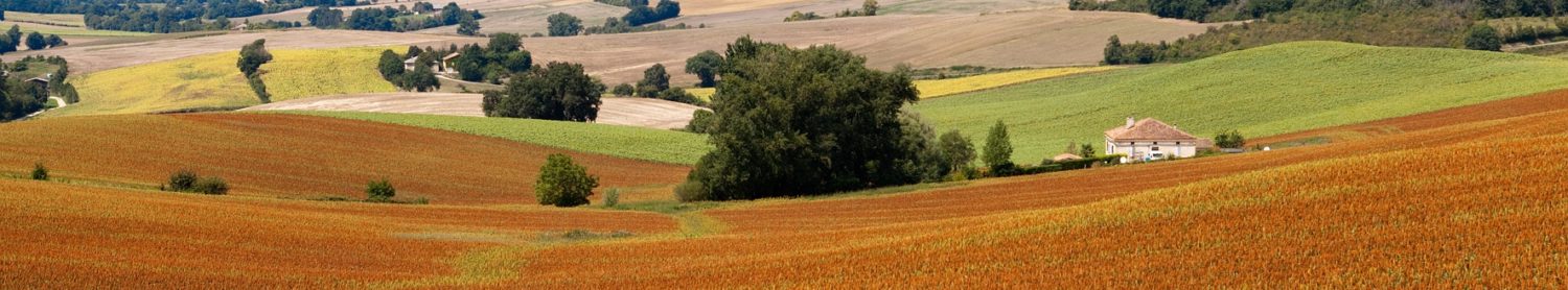 Groupe Local Tarn-et-Garonne