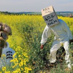 Non aux OGM