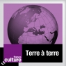culture_terre_a_terre