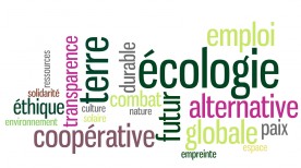 wordle