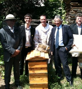 Avec les pesticides, les ruches se font rares / Photo DDM, Ol.M.