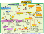Mapa conceptual del programari lliure versió juvenil petita.png