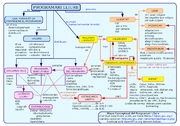 Mapa conceptual del programari lliure.png