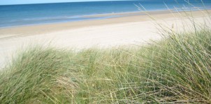 utah-beach-dunes