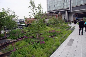 La ville de New York s'est inspirée de la promenade plantée de Paris pour réaliser sa High Line.