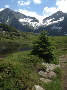 montagne-ete