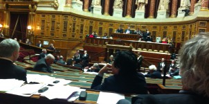 Vote article 11 constitution (c) Corinne Bouchoux
