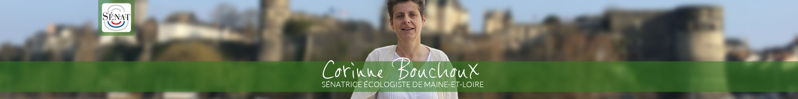 Corinne Bouchoux, Sénatrice écologiste de Maine et Loire